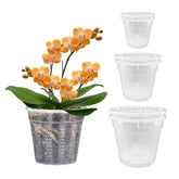 HOLANHING orchid pot 4.3 inch clear reveals roots and moisture for easy monitoring