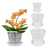 HOLANHING orchid pot 4-3 inch clear shows root patterns for easy monitoring and care