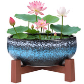 Homaisson lotus bowl with cross base for stable indoor display