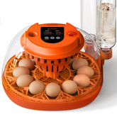 Homcolorful 12 egg incubator: transparent shell for easy hatch observation