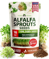 HOME GROWN alfalfa sprout seeds 16oz bulk bag ready for indoor sprouting