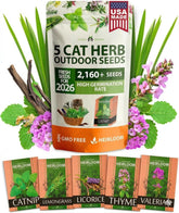 HOME GROWN catnip seed mix for playful, aromatic cat enrichment.