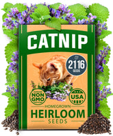 Home Grown catnip seeds bulk pack for steady supply of fresh catnip.