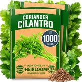 HOME GROWN cilantro seeds bulk pack ready for easy planting in pots or garden beds.