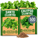 HOME GROWN Cilantro seeds Calypso and Santo pack ideal for indoor herb gardens.
