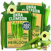 HOME GROWN Clemson Spineless Okra seeds front pack ready for planting and reliable germination