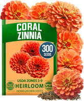 HOME GROWN Coral Zinnia Seeds front view for a bold garden focal point.