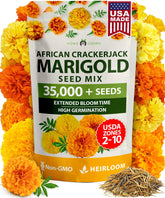 HOME GROWN Crackerjack marigold seeds bulk pack adds vibrant border color