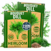 HOME GROWN dill seeds 1014 seeds pack for abundant fresh herbs in any garden.