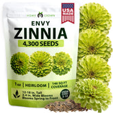 HOME GROWN Envy Zinnia seeds with lime-green blooms brighten beds for striking summer color