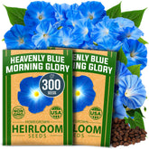 HOME GROWN Heavenly Blue seed pack — vibrant blooms brighten any garden.