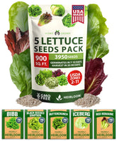 HOME GROWN lettuce seeds 5-variety mix pack ready for year-round salads.