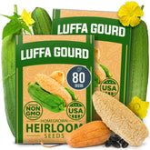 HOME GROWN Luffa seeds 40-pack ready for planting, offering high germination.
