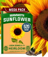 HOME GROWN Mammoth sunflower seeds bulk packet for quick, large-scale planting.