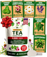 Home Grown Medicinal Herb Seeds Vault showing six heirloom varieties for home gardens