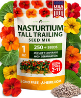 HOME GROWN Nasturtium blooms in close-up with vibrant mixed colors for borders.