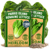 HOME GROWN Parris Island lettuce seeds in seed pack for reliable germination.