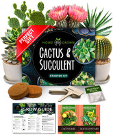 HOME GROWN succulent seed kit contents ideal for beginner gardeners