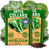 HOME GROWN Vates seed pack ready for planting in home gardens.