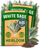 HOME GROWN White Sage Seeds packet close-up showing high germination potential.