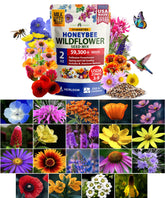 HOME GROWN bulk 2oz wildflower seed pack ready to sow for pollinators