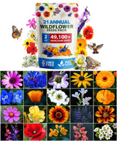 HOME GROWN Wildflower Seeds Mix Black-Eyed Susan blooms to boost pollinator habitats.