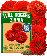 HOME GROWN Will Rogers zinnia seeds for giant scarlet blooms perfect for bouquets.