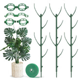 HOMEBROS plant support stake stackable poles blending with foliage for invisible support.