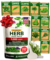 HOME GROWN 10 herb seeds pack for versatile indoor and outdoor gardening.
