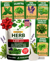 HOME GROWN Basil Genovese seed packet for fresh home-grown basil harvest