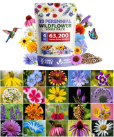 HOME GROWN wildflower seeds bulk 4oz meadow mix attracts pollinators and adds color