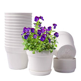 Homenote 6-inch pot with drainage holes for healthy watering.