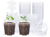 Homenote clear nursery pot 3-inch diameter with transparent walls for easy root and moisture checks