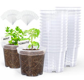 Homenote clear nursery pot with drainage holes aids easy root health monitoring.