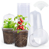 Homenote clear nursery pot top view for precise watering