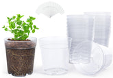 Homenote clear nursery pot with a 6.7-inch top opening for moisture monitoring.
