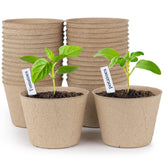 Homenote peat pots 30-count in 4-inch size for easy seed starting