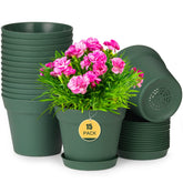 Homenote 6-inch plant pots with drainage holes for healthy indoor watering