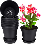 Homenote eight-pack plant pots with trays, organized indoor garden setup with multiple drainage holes.