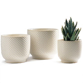 Homephyte milk white ceramic pot 4-inch front view for improved root air circulation