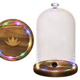 Homia Smoking Gun LED Glass Dome with 9x5.7 inch base enhances elegant smoke infusions.