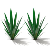 Homight metal tequila agave plant sculpture for durable outdoor decor