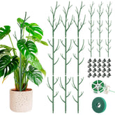 Honeydak monstera stake stackable supports climbing plants for neat upright growth