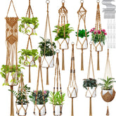 Hoteam 12-piece macrame plant hangers for stylish indoor display.