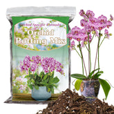 HOUNANG orchid potting mix with moss retains moisture for roots.