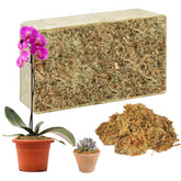 Hourleey sphagnum moss brick expansion showcases ready plant medium for moisture-loving roots.