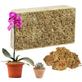 Hourleey sphagnum moss brick expands when hydrated for ready potting medium.