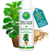 Houseplant Resource Center Rescue Drops bottle for quick root-stress relief on fiddle leaf figs.