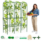 Hoyejyou 62-inch cucumber trellis arch supports climbing plants for organized, high-yield growth.