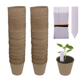 Huvai peat pots, 3.15 inch diameter, foster strong seedling starts in ventilated settings.